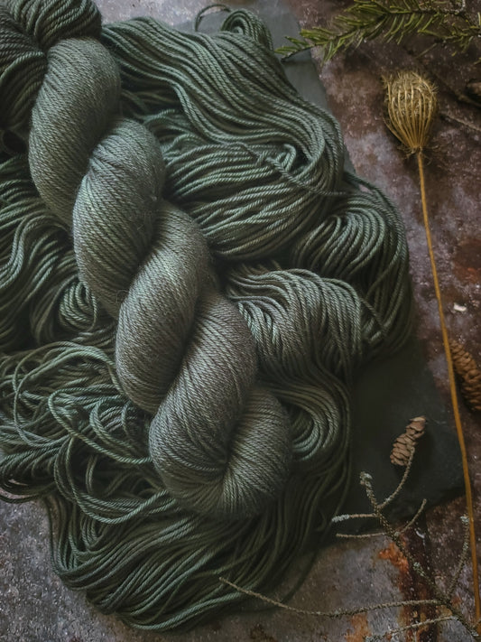 Eucalyptus
