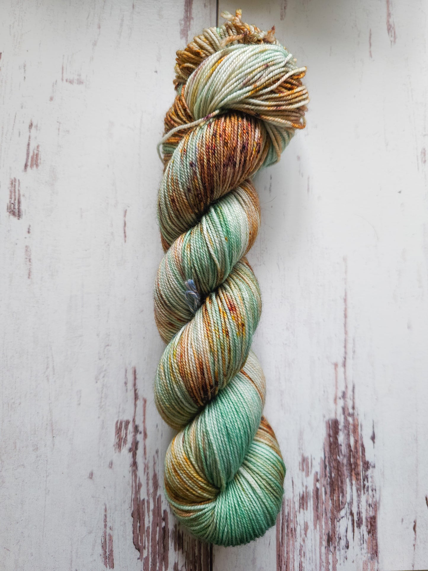 Patina (Sport)