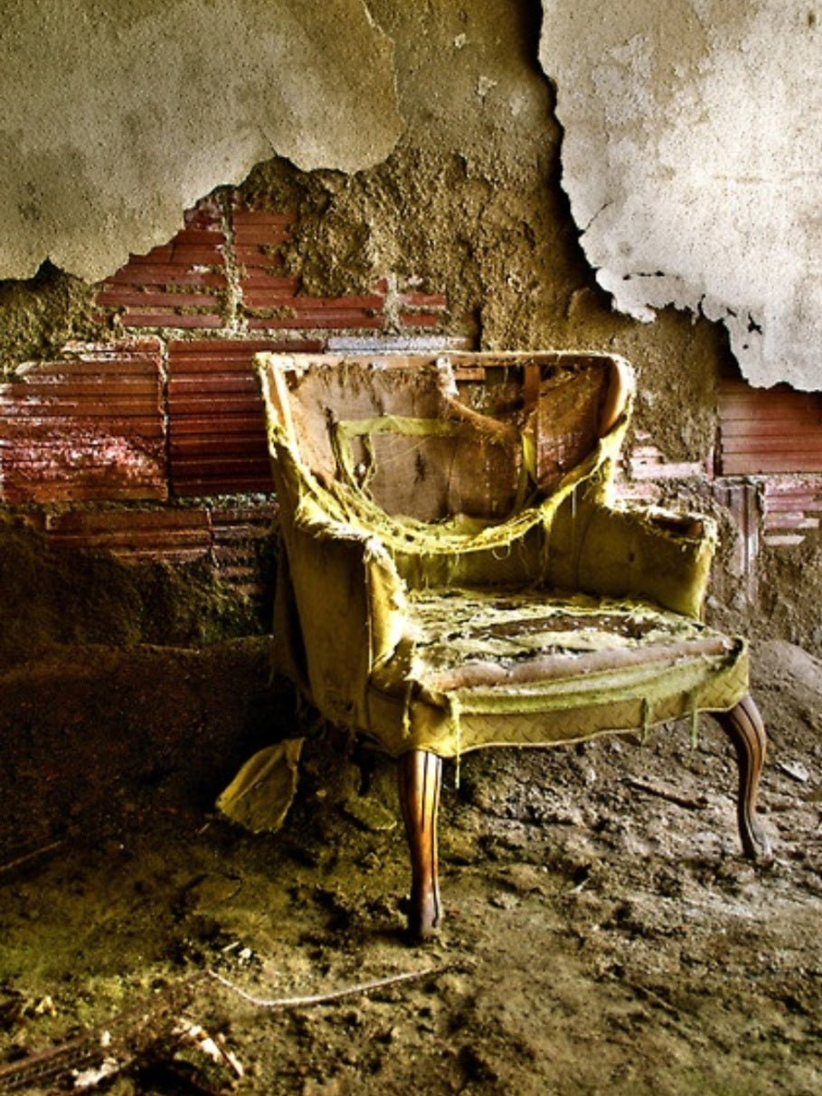 Abandoned (But Loved)