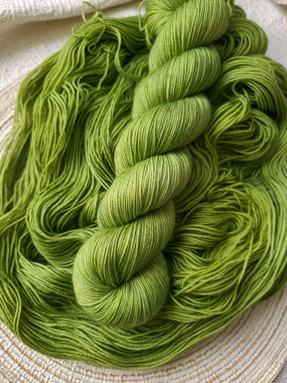 Picnic Collection (DK)