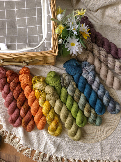 Picnic Collection (Sock)