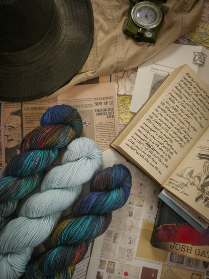 Mr. Stitch's Expeditions - INDIVIDUAL MONTH