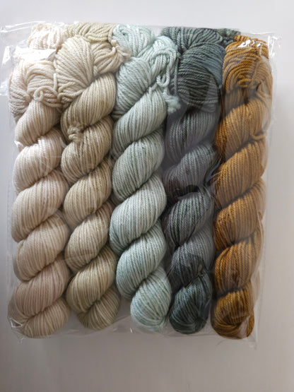 50g Sets (Sock/DK)