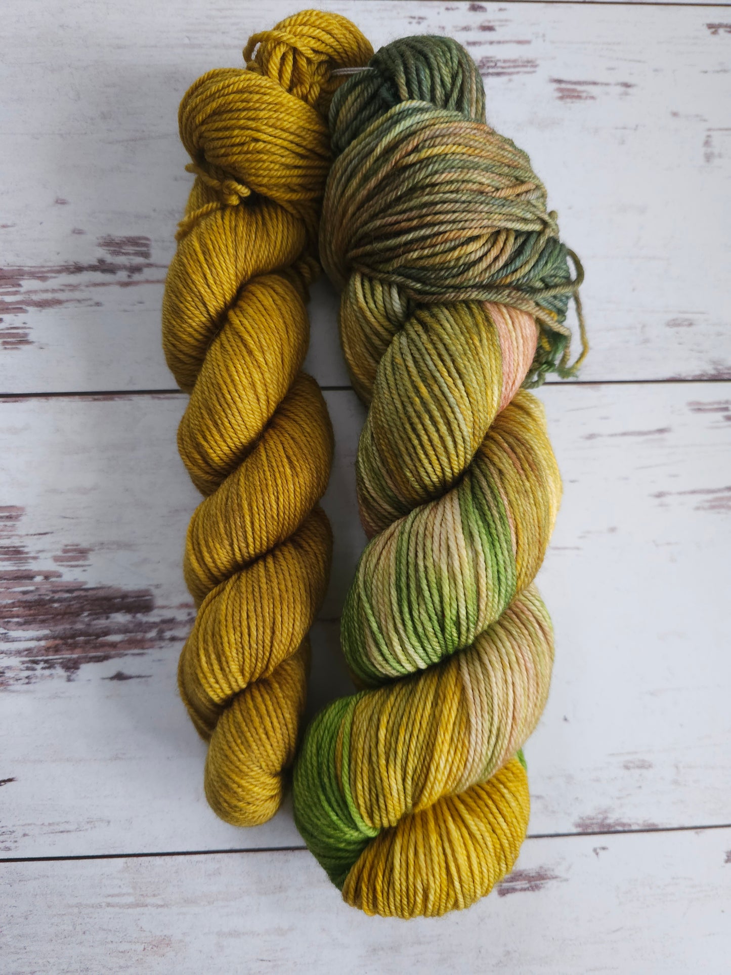 Mr. Stitch's Expeditions - Sock Sets (DK)