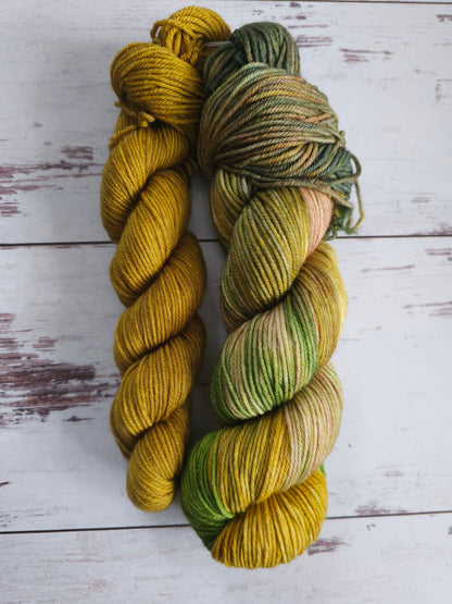 Mr. Stitch's Expeditions - Sock Sets (DK)