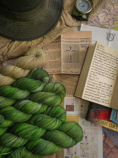 Mr. Stitch's Expeditions - INDIVIDUAL MONTH (2026)