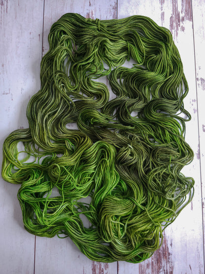 Mr. Stitch's Expeditions - INDIVIDUAL MONTH (2026)