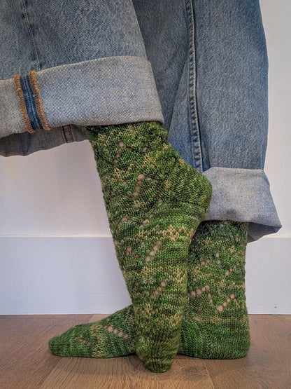 Mr. Stitch's Expeditions - INDIVIDUAL MONTH (2026)