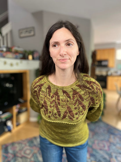 Apothecary Sweater Kit (Yarn + Pattern)