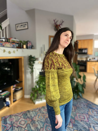 Apothecary Sweater Kit (Yarn + Pattern)